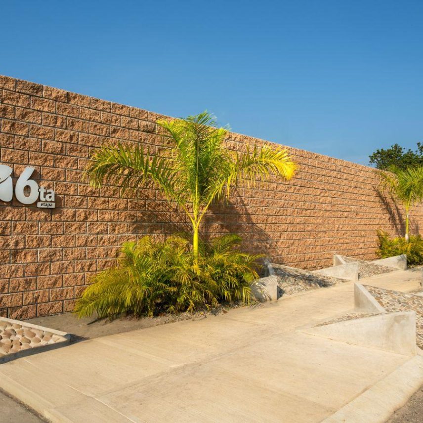 WhatsApp Image 2026-02-09 at 2.50.57 PM